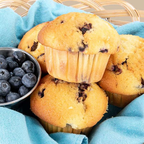 Blueberry Muffin Case of 6 - Image 3